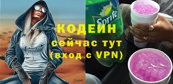 мдпв Семилуки