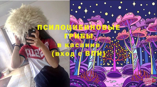 ПСИЛОЦИБИНОВЫЕ ГРИБЫ Абинск