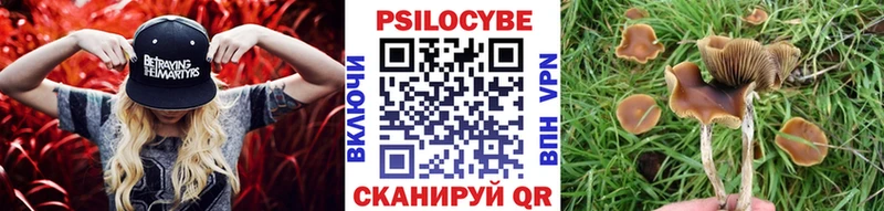 mega ONION  Зеленодольск  Галлюциногенные грибы мицелий 