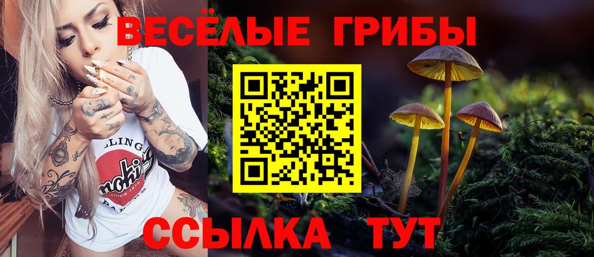 купить наркотики цена  Галлюциногенные грибы GOLDEN TEACHER  Вход с VPN  Галлюциногенные грибы Magic Shrooms  Зеленодольск 