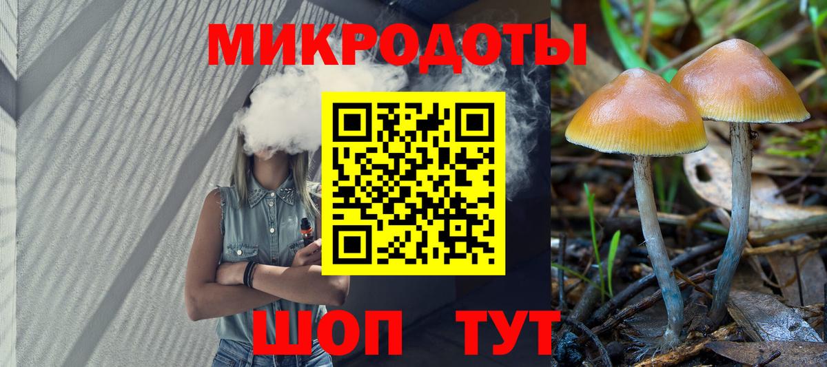 Псилоцибиновые грибы мицелий Зеленодольск